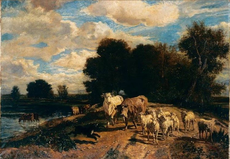 Animali al pascolo